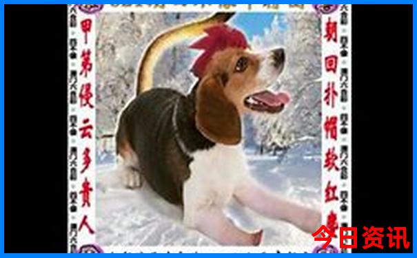 今年哪个城市最热