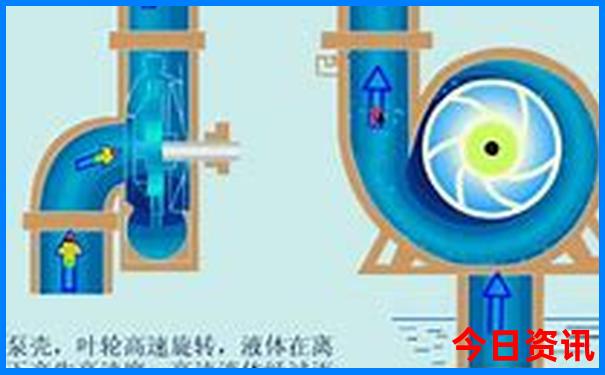 暑假可以到哪里玩